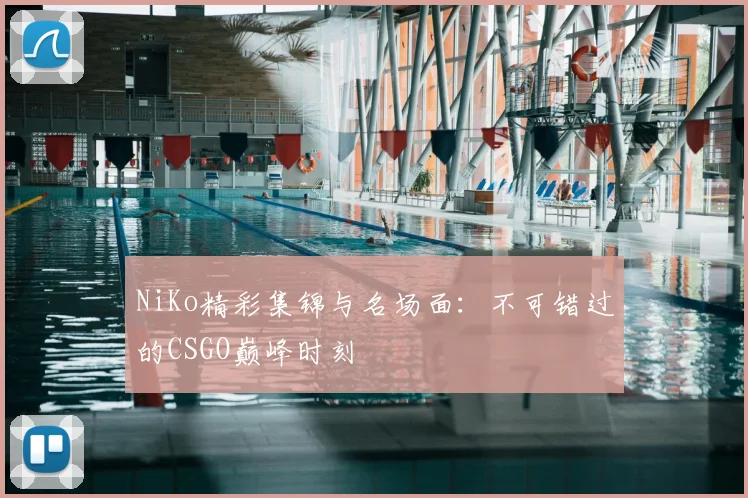 NiKo精彩集锦与名场面：不可错过的CSGO巅峰时刻
