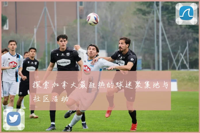 探索加拿大最狂热的球迷聚集地与社区活动