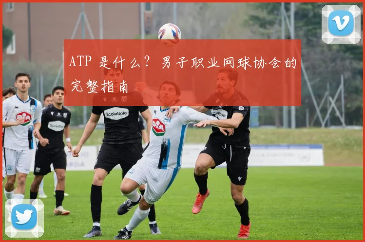 ATP 是什么？男子职业网球协会的完整指南