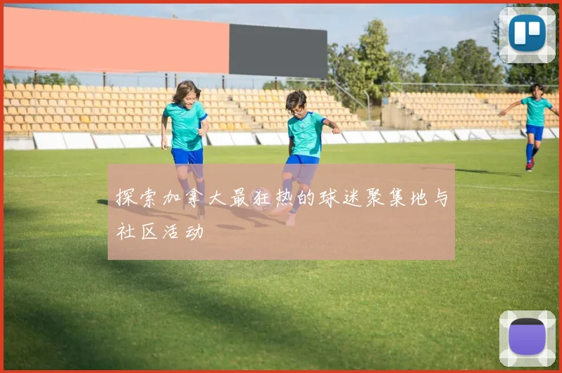 探索加拿大最狂热的球迷聚集地与社区活动