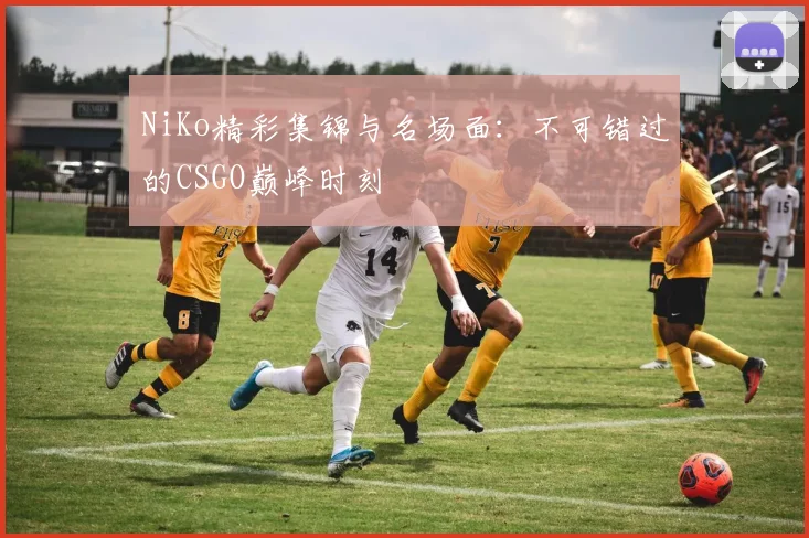 NiKo精彩集锦与名场面：不可错过的CSGO巅峰时刻
